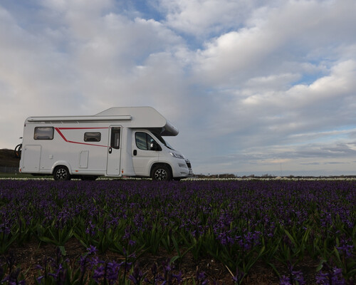 LMC TOURER A 690 G